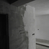 DSCF1798